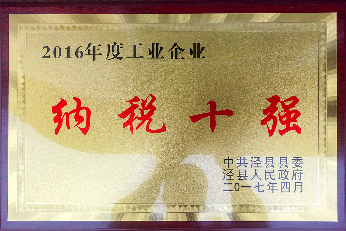 2016年工業企業納稅十強